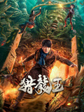 猎龙王海报